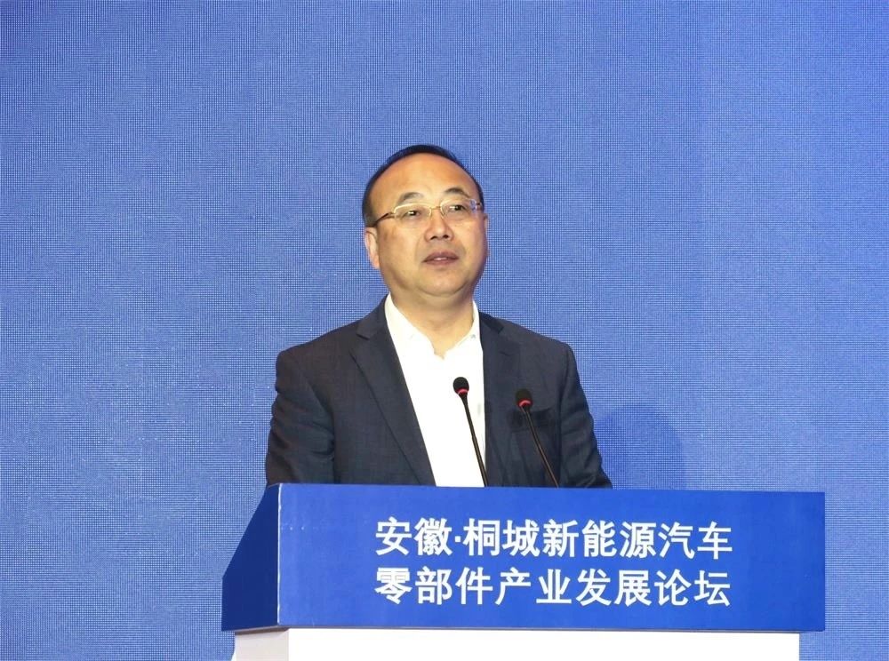 省政协副主席、安庆市委书记张祥安致辞